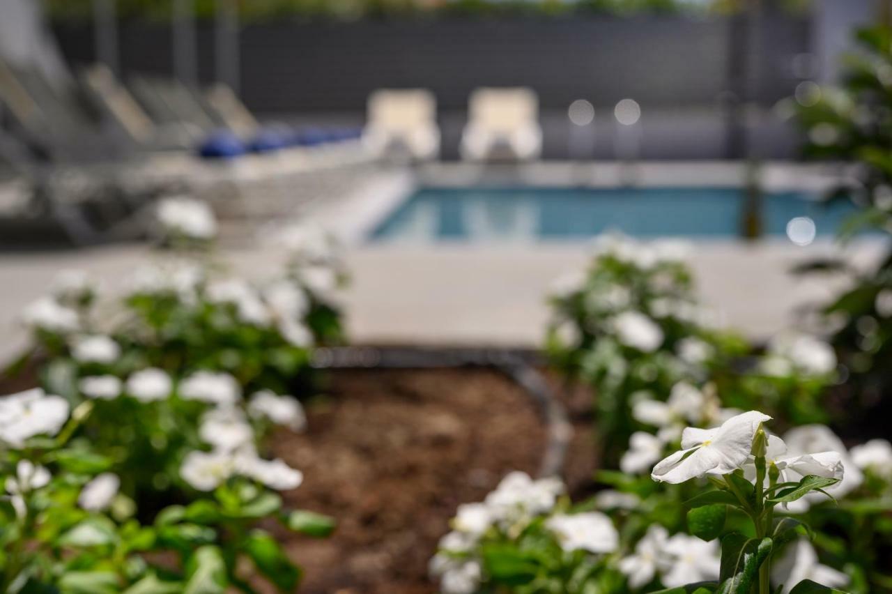 Athina Suites Luxury Suites Near The Sea Platanias ปลาเตเนียส ภายนอก รูปภาพ